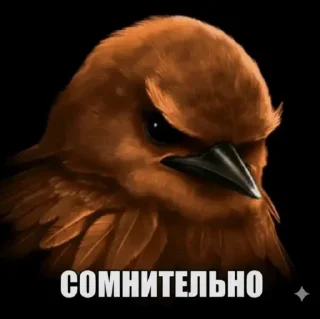 Вряд-ли