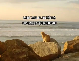 🩲 невтрусахсчастье, стікер Telegram 13 з 50