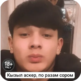 🎩 По разам, стикер Telegram 5 из 12