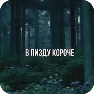 🌲 Чб омежка, Telegram sticker 23 of 35