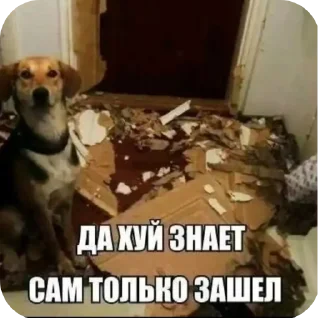 🖼 Стики для геев создатель-@adolfew, стикер Telegram 7 из 79