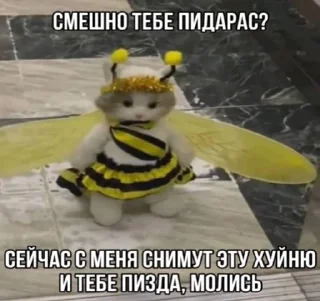 🌟 Агро котяры😾 @stiki321, стікер Telegram 11 з 120