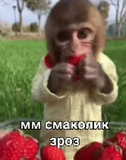 😋 зроз, sticker Telegram 7 sur 50