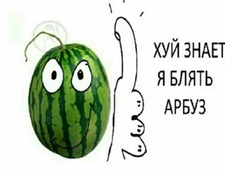 🌟 Квас DanQ56 2, стікер Telegram 15 з 32