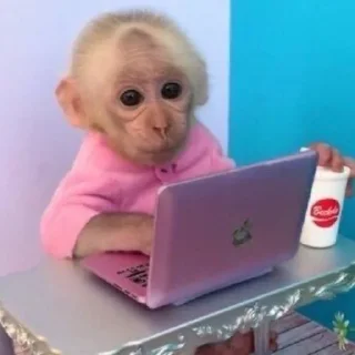 💻 бибизяны, sticker Telegram 13 sur 29