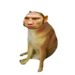 🤏 Ещё PVZ Дичь, стікер Telegram 11 з 27