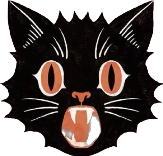 Black cats