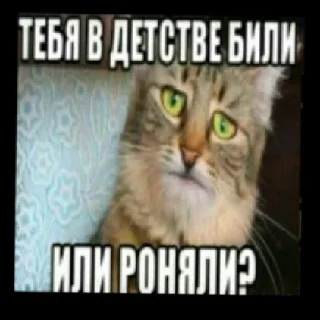 ❓ Ммм хуета, Telegram sticker 22 of 40