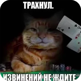 🏆 Adam1ch, стикер Telegram 20 из 48