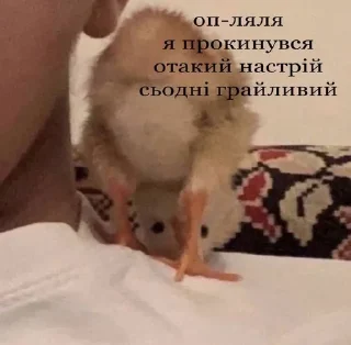 😺 від юнчика, Telegram sticker 7 of 93