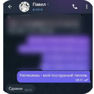 👍 Соло лига, Telegram sticker 24 of 46
