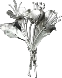 🌟 @kaoru_hen, стикер Telegram 16 из 117