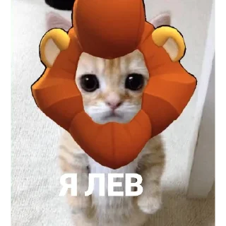 НУЖНЫ ДЕТИ В БРАВЛ СТАРСЕ🎮🔫