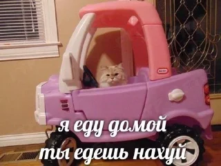 🖕 Guilty pleasure 1️⃣, стикер Telegram 11 из 50