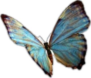 ❤️ hope, стикер Telegram 14 из 26