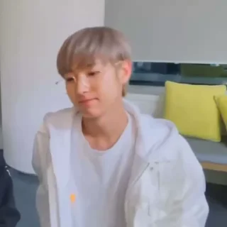🦊 ren huang !!, стікер Telegram 10 з 36