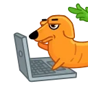 👩‍💻 Морковчик @FOXDIZIGNERLIFE, Telegram sticker 12 of 25