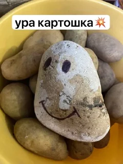 🌟 Александр, Telegram sticker 12 of 94