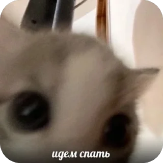 ❤ 🍻Под шконкой🍻 @smnthx, Telegram sticker 22 of 120