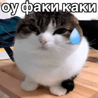 🫠 slay’nichki, Telegram sticker 23 of 29