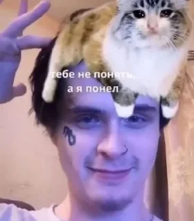 😃 Кабуу, стикер Telegram 12 из 51