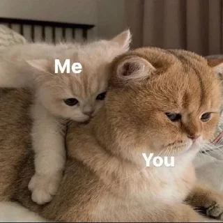 🌟 💗, стикер Telegram 17 из 69
