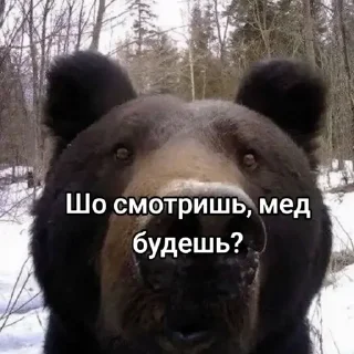 🤔 Абсолют @stickrubot, sticker Telegram 2 sur 77