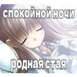 💇 Абсолют @stickrubot, sticker Telegram 18 sur 77