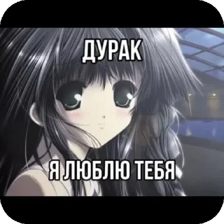 🖼 Абсолют @stickrubot, sticker Telegram 8 sur 77