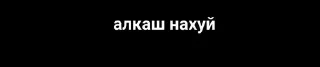 😊 Полка, стікер Telegram 12 з 17