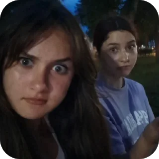🤨 Брооо, sticker Telegram 17 sur 120