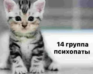 😈 крутые, Telegram sticker 22 of 48