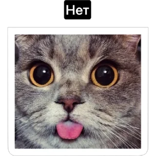 😜 Смешные коты, sticker Telegram 24 sur 29