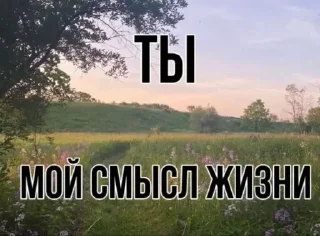🌟 Щитпост, Telegram sticker 24 of 41