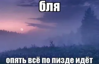 🌟 Щитпост, Telegram sticker 17 of 41