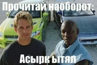 🤩 ЩИТПОСТ by dressed, sticker Telegram 15 sur 52