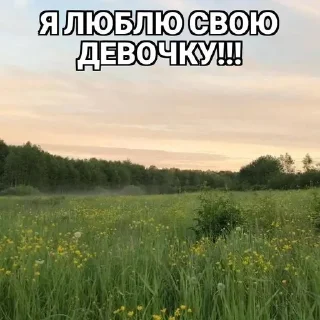 🌟 Щитпост, Telegram sticker 9 of 41