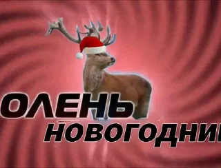 Новогодний рай :: @eshkere1088
