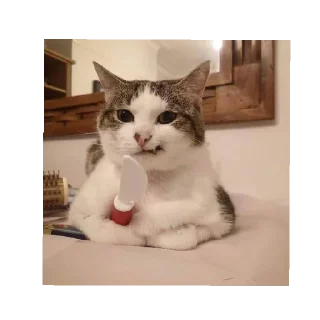 🔪 Котики💝, стикер Telegram 15 из 19