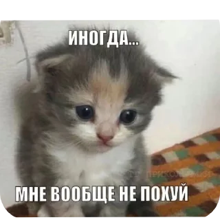 👍 капец @stickrubot, стікер Telegram 15 з 43