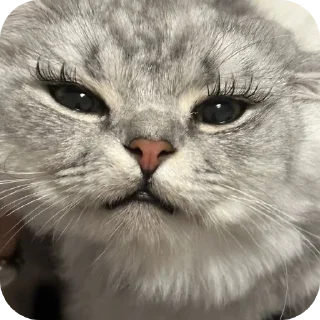 👍 капец @stickrubot, стікер Telegram 23 з 43