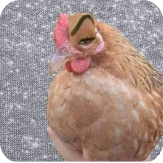 👍 капец @stickrubot, стікер Telegram 7 з 43