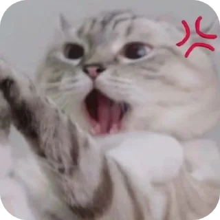 👍 капец @stickrubot, стікер Telegram 12 з 43