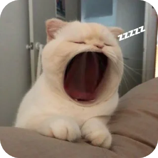 👍 капец @stickrubot, стікер Telegram 10 з 43