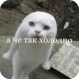 👍 капец @stickrubot, стікер Telegram 19 з 43