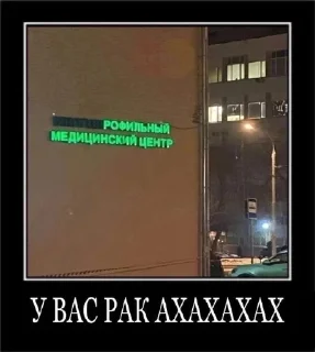 🦍 Андер, стикер Telegram 17 из 51