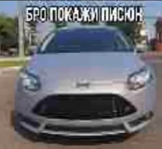 🦍 Андер, стикер Telegram 11 из 51