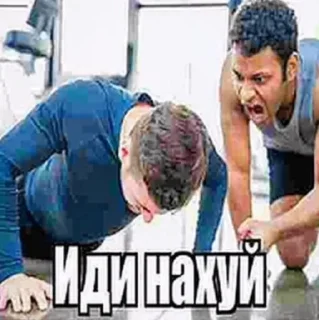 🦍 Андер, стикер Telegram 12 из 51