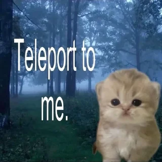 🌟 Cats aww, Telegram sticker 15 of 42