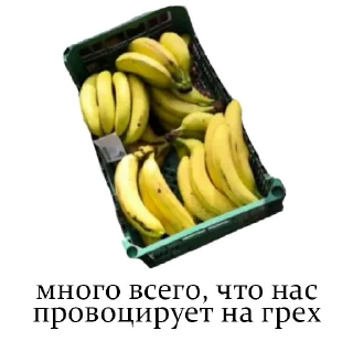 Oleg&KurteevNaLadoge